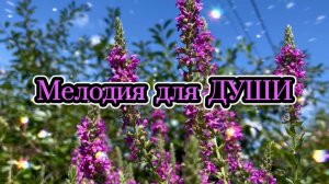 Музыка для  души, прекрасное фортепиано