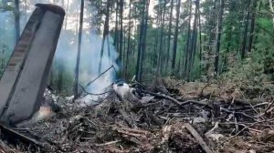 Бортовые самописцы найдены на месте крушения Ан-24 в Амурской области