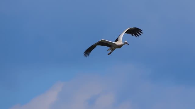 Дом 2 этажа с гаражом V2