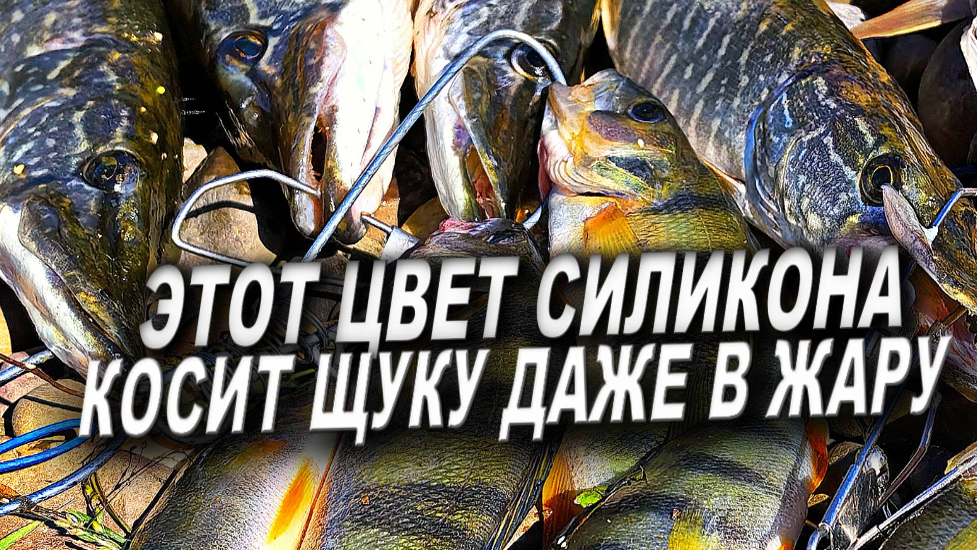 ЭТО РЕАЛЬНО ЛУЧШИЙ ЦВЕТ СИЛИКОНА НАИ ЩУКУ И ОКУНЯ В ЖАРУ! РЫБАЛКА НА СПИННИНГ 2025 смотреть онлайн