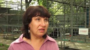 (24.07.2025) Медведицы Маша и Дуся с базы отдыха “Мишкина берлога” переехали в зооцентр «Питон»