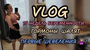 15 недель беременности 🤰🏼 первые шевеления 🌷гормоны шалят 😢