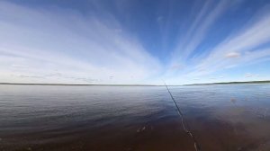 Рыбалка на Енисее. Охота за Хищником!