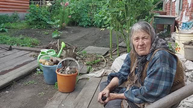 Аннушка собирает урожай. смотреть онлайн