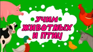 Учимся говорить по картинкам - Развивающие мультики для детей - Обучающие видео для малышей