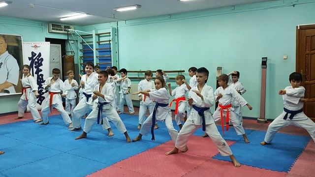 Кихон6кю2 смотреть онлайн