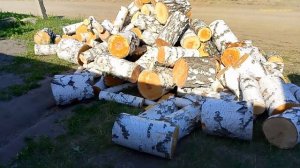 Дела житейские, про работу и отдых.