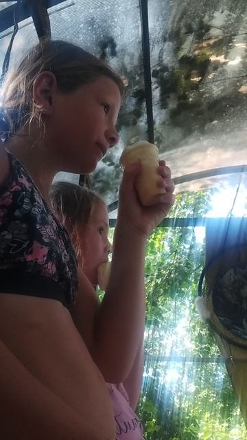 VID_20250725_170137.mp4 смотреть онлайн