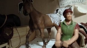 8 подписчиков!  Шляйх фильм "Дикое сердце"