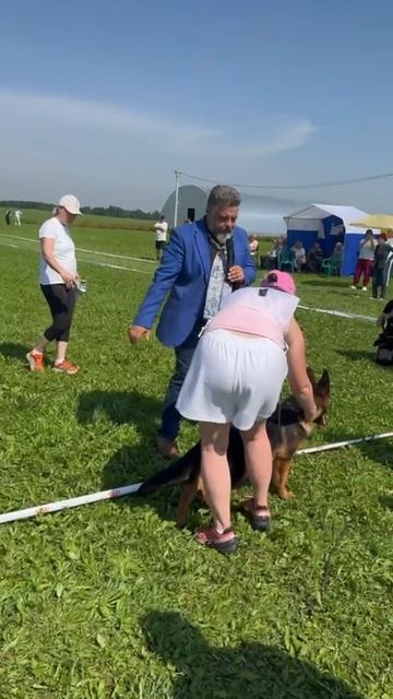 БЕБИ КОБЕЛИ / КЧК САНКТ-ПЕТЕРБУРГ 12 июля`25 G.Stibel Моно немецких овчарок