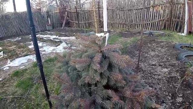 Весенняя дача смотреть онлайн