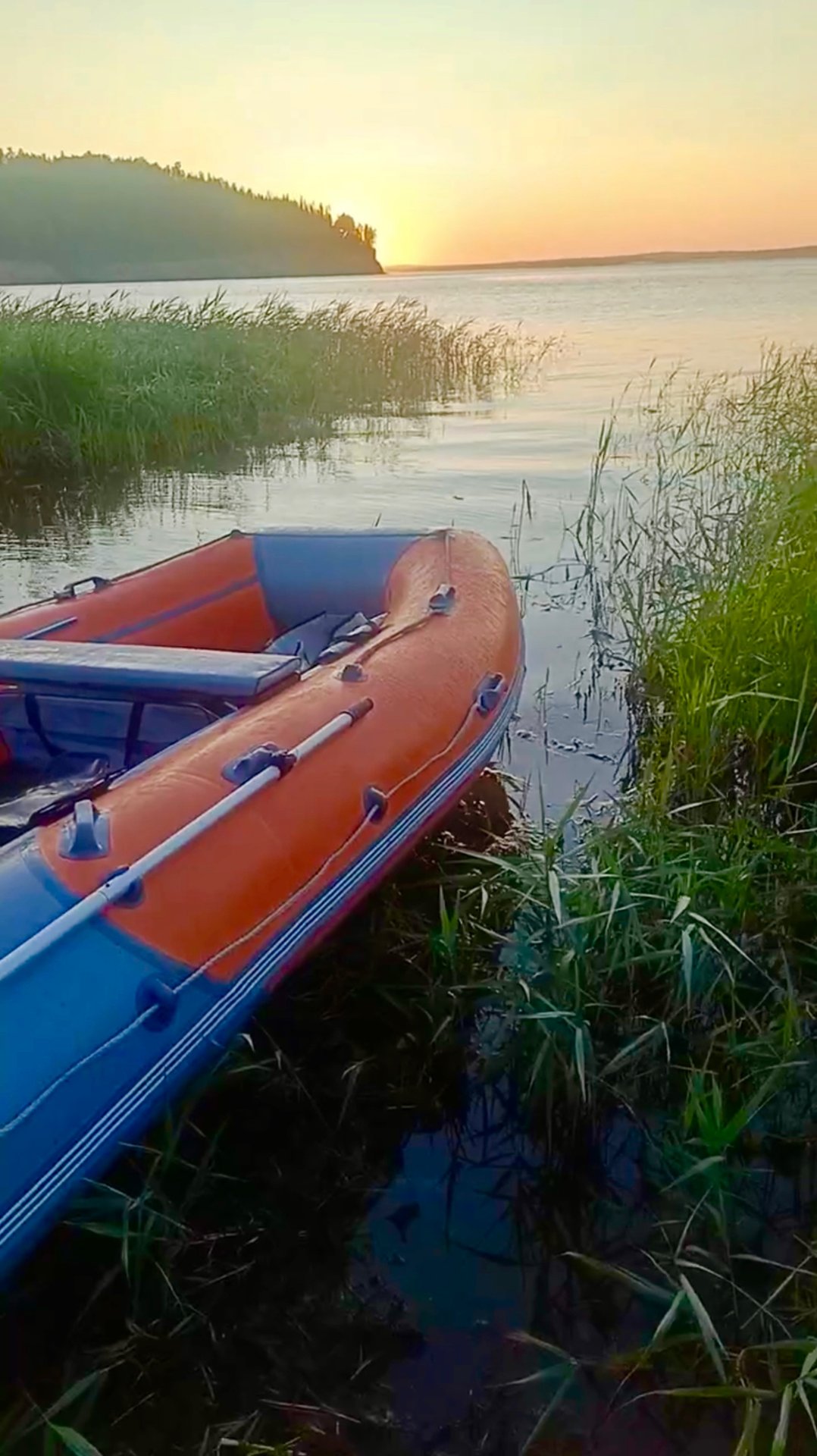 Отзыв от Китовода Ивана Калнина смотреть онлайн