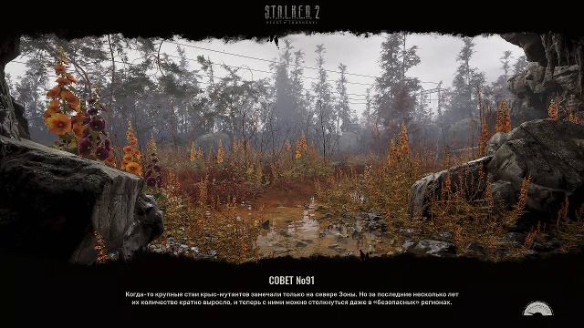 СТРИМ_S.T.A.L.K.E.R. 2- Heart of Chernobyl. смотреть онлайн