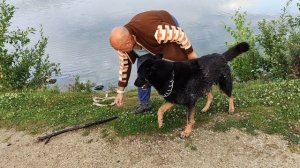 17. 25.07.25. Сэма искупали, его тоже готовим к переезду.