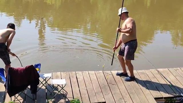Поимка Карпа смотреть онлайн