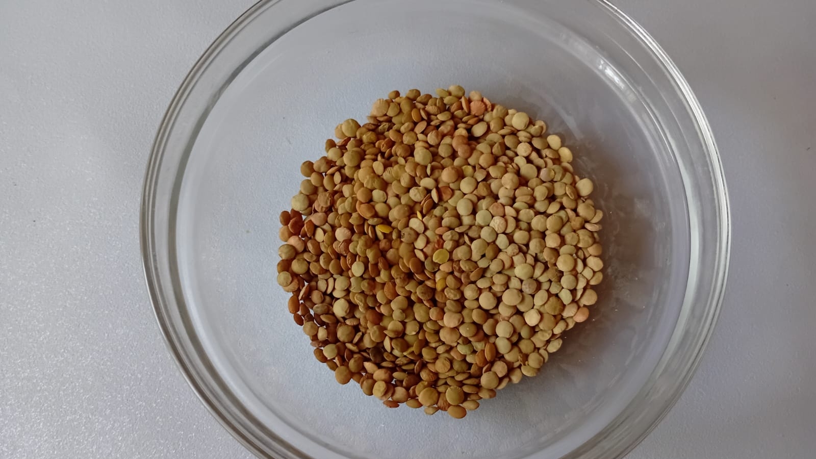 ТЕПЛЫЙ САЛАТ С ЧЕЧЕВИЦЕЙ. ПРАЗДНИЧНЫЕ САЛАТЫ смотреть онлайн