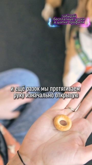 🎁Бесплатные уроки. Жми сюда! смотреть онлайн