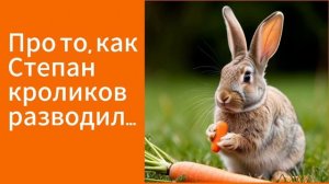 КАК СТЕПАН КРОЛИКОВ РАЗВОДИЛ
