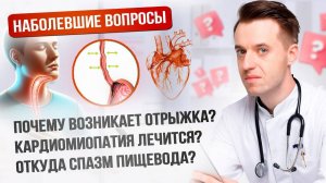 Желудок, печень и кишечник: о главных проблемах ЖКТ #медицина #здоровье #жкт