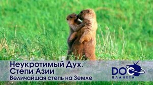 Неукротимый Дух. Степи Азии - Фильм 2. Величайшая степь на Земле - Документальный фильм