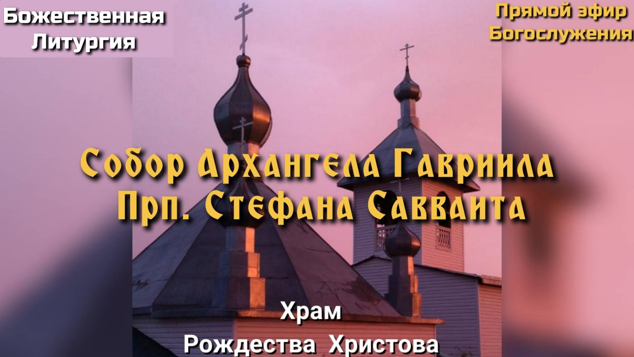Собор Архангела Гавриила. Прп. Стефана Савваита. Литургия. смотреть онлайн