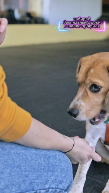 🎁Бесплатные уроки. Жми сюда! смотреть онлайн