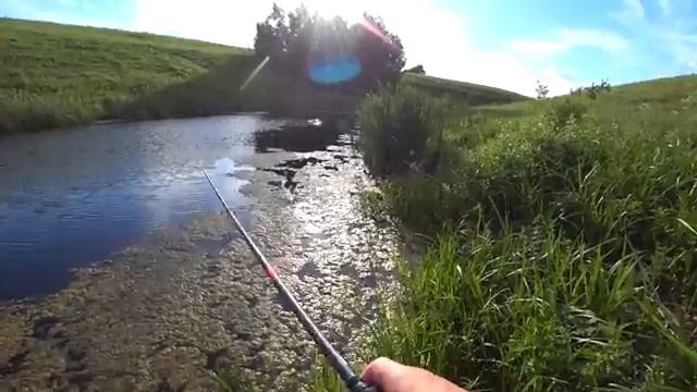 Рыбалка летом смотреть онлайн