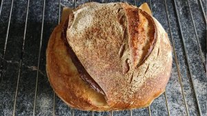 Выпечка хлеба на закваске для начинающих