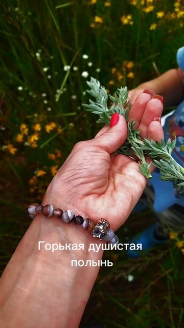 ☕Ферментируем 