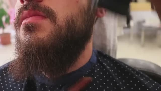 10 ИНТЕРЕСНЫХ ФАКТОВ О БОРОДЕ смотреть онлайн