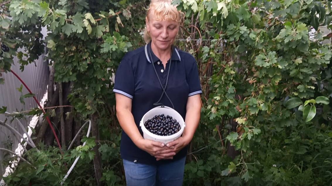 126. Постоянный спор. Делим территорию.