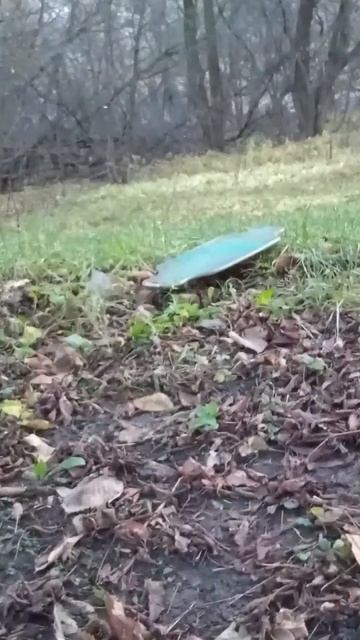 МЫ НА ВАЙБЕ