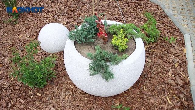 Воронин и Кварта