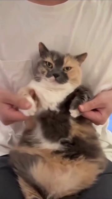 Пятница🔥 смотреть онлайн