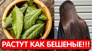 ОЧЕНЬ СИЛЬНАЯ МАСКА ОТ ВЫПАДЕНИЯ ВОЛОС. Волосы растут как сумасшедшие и не выпадают !
