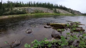 Рыбалка в компании, ловля хариуса на горной реке.