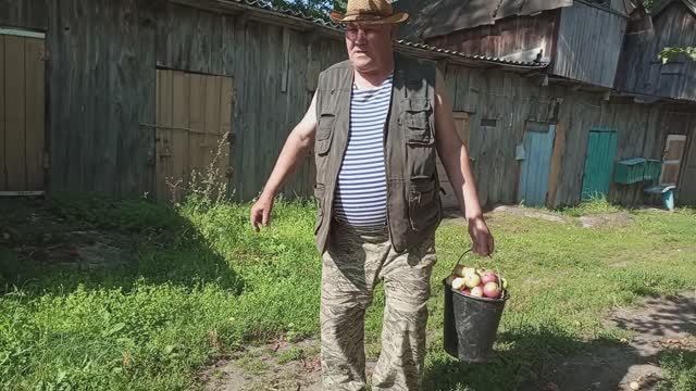 ЖДЁМ РОДСТВЕННИКОВ, ВОПРОС ОТВЕТ, УРОЖАЙ КАБАЧКОВ, ПОВСЕДНЕВНАЯ СЕЛЬСКАЯ ЖИ смотреть онлайн