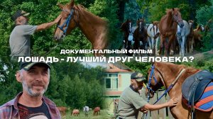 Документальный фильм Валерии Тумилевич «Лошадь - лучший друг человека?»
