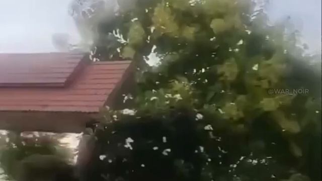 Video_2025-07-25_11-59-27