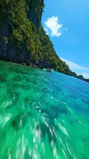 Природа с птичьего взгляда