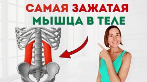 Спазм этой мышцы убивает поясницу у 98% людей