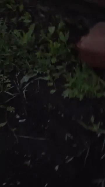 У смотреть онлайн