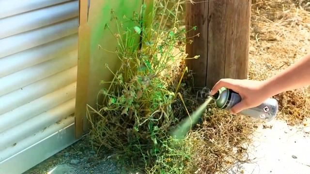 ХАКИ ПО ВЫРАЩИВАНИЮ РАСТЕНИЙ ДЛЯ НАЧИНАЮЩИХ! Простые советы, которые действительно работают ✨ смотреть онлайн