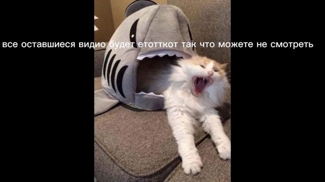 ыыыыыэыэыэыэы лень чёт писать сами придумайте