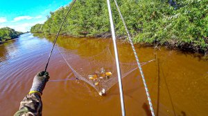 3 часа РЫБАЛКИ НА ПАУК и ПОЛНАЯ СУМЯКА РЫБЫ!!! Рыбалка на паук-подъëмник.