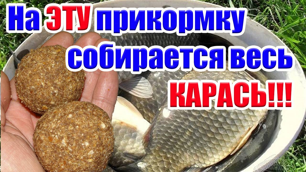 Супер Прикормка на Карася Карпа Леща