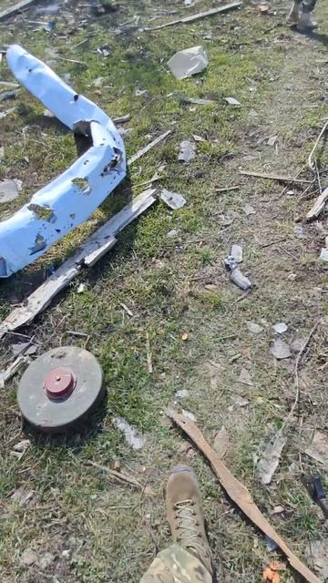 ФЕЛЛИНИ. МУЗЫКА С ПЕРЕДКА. СВО смотреть онлайн