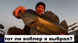 Троллинг. Правильно ли подобран воблер. Бомба Киллер.