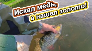 Моя ЛУЧШАЯ РЫБАЛКА на ГОЛАВЛЯ!
