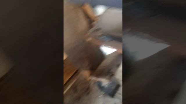 VID_20250725_185322.mp4 смотреть онлайн